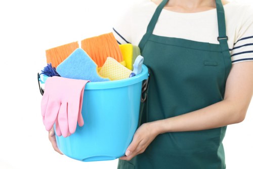 Professional oven cleaning service for Bermondsey homes and flats