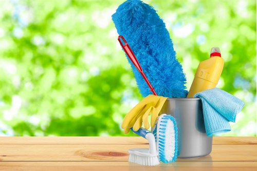 Professional cleaning company servicing Bermondsey homes and apartments