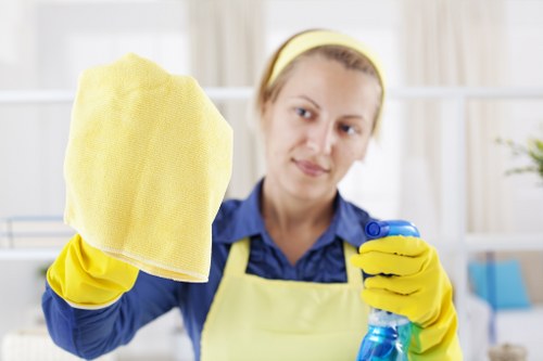 Environmentally responsible Bermondsey oven cleaning with reduced emissions