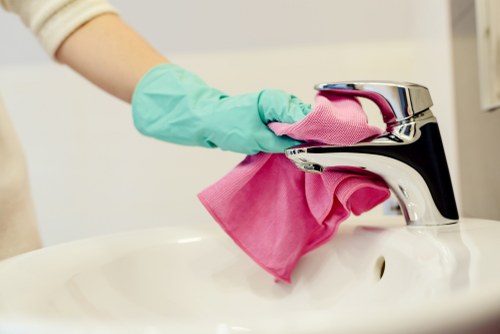 Deep cleaning support for a Bermondsey home bathroom