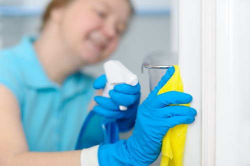Professional office cleaner in Bermondsey maintaining a modern workspace