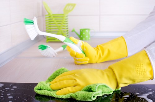 Deep cleaning tasks for a Bermondsey home, including kitchen surfaces and bathroom finishes