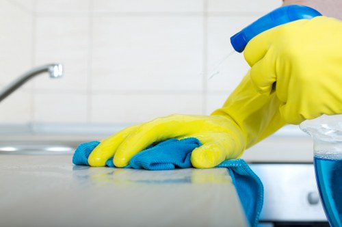 Deep oven cleaning for a kitchen appliance in Bermondsey