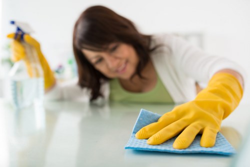Cleaned oven and kitchen appliance service in Bermondsey
